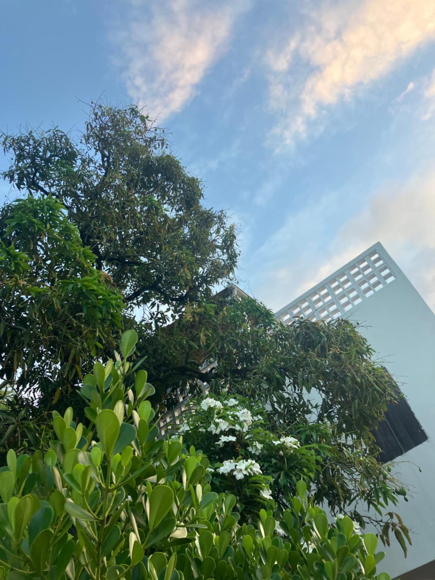Mangue Seco Lodge - Experiencia Gastronomica 外观 照片